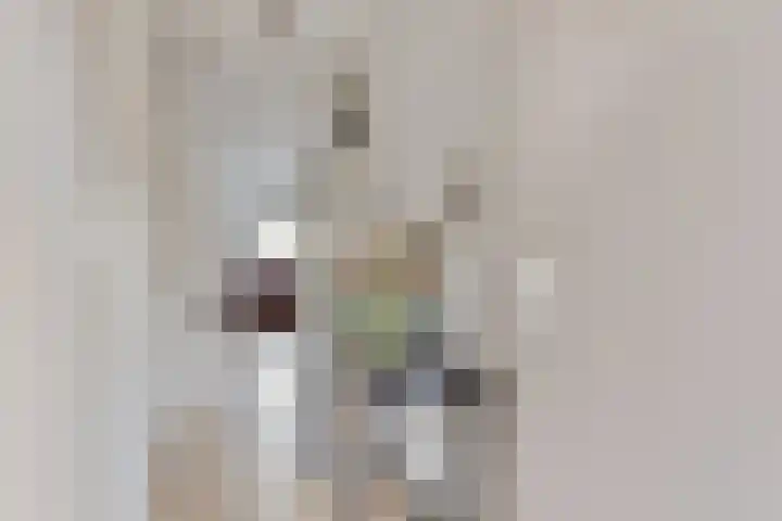 P Czn Hooftlaan 11 Eindhoven thumbnail 6
