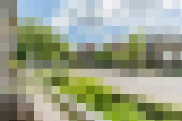 P Czn Hooftlaan 13 Eindhoven thumbnail 24