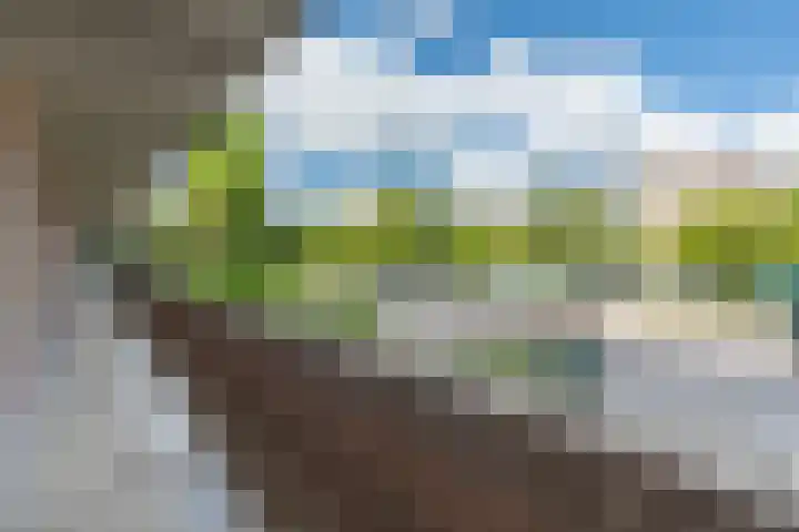P Czn Hooftlaan 13 Eindhoven thumbnail 26
