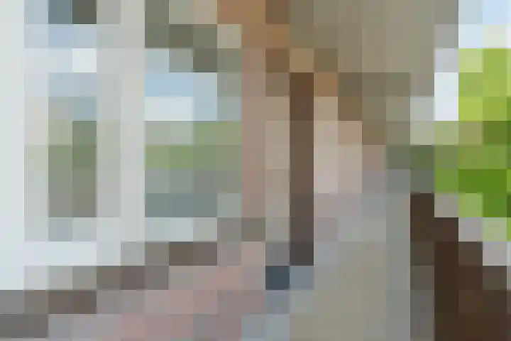 P Czn Hooftlaan 13 Eindhoven thumbnail 27