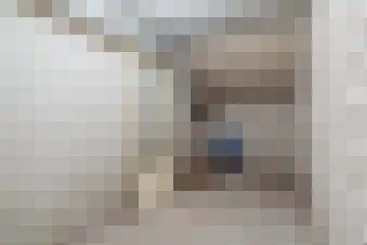 P Czn Hooftlaan 13 Eindhoven thumbnail 28