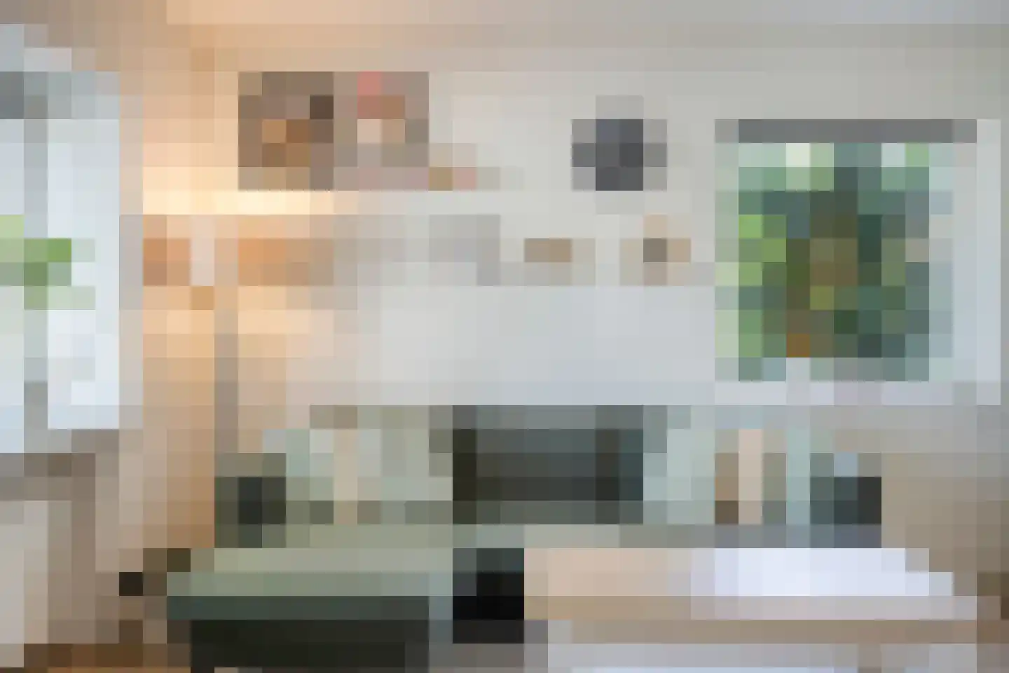 P Czn Hooftlaan 17 Eindhoven thumbnail 13