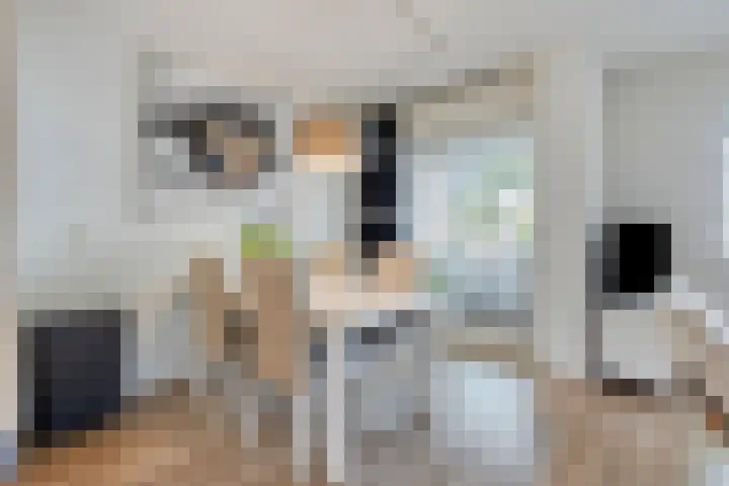 P Czn Hooftlaan 17 Eindhoven thumbnail 19