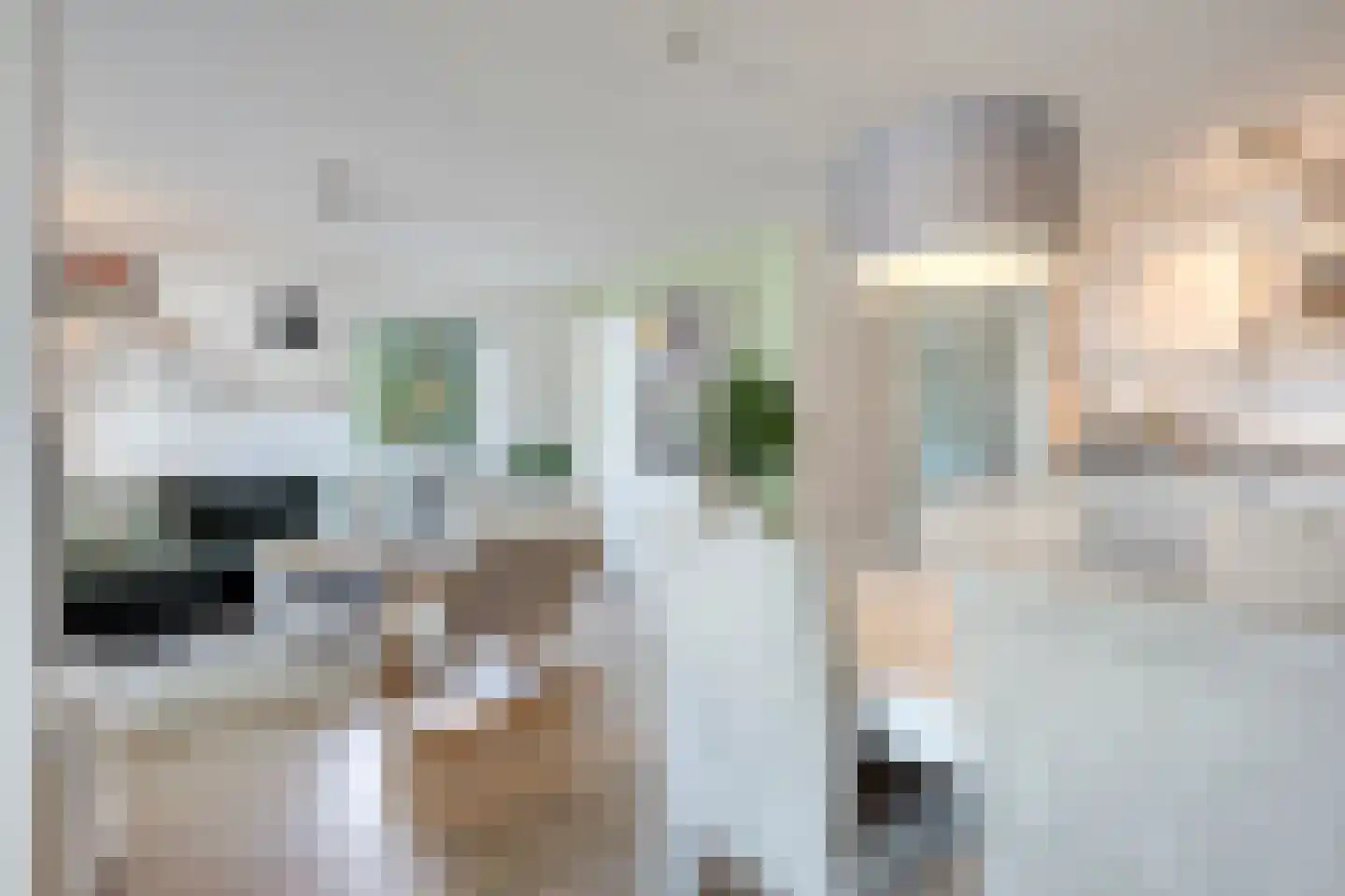 P Czn Hooftlaan 17 Eindhoven thumbnail 21