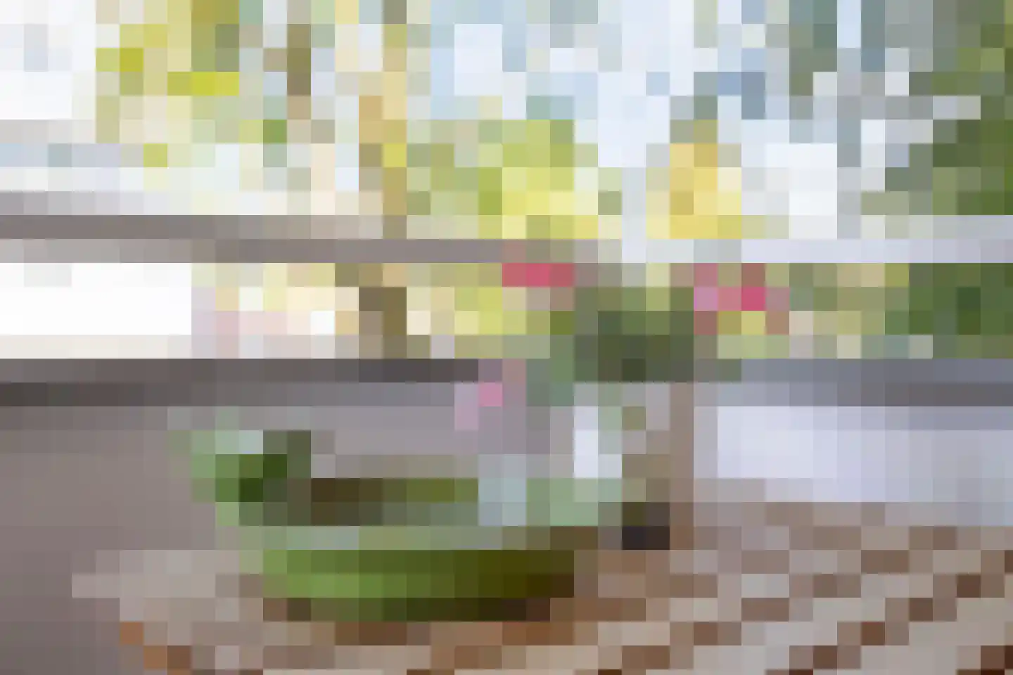 P Czn Hooftlaan 17 Eindhoven thumbnail 33