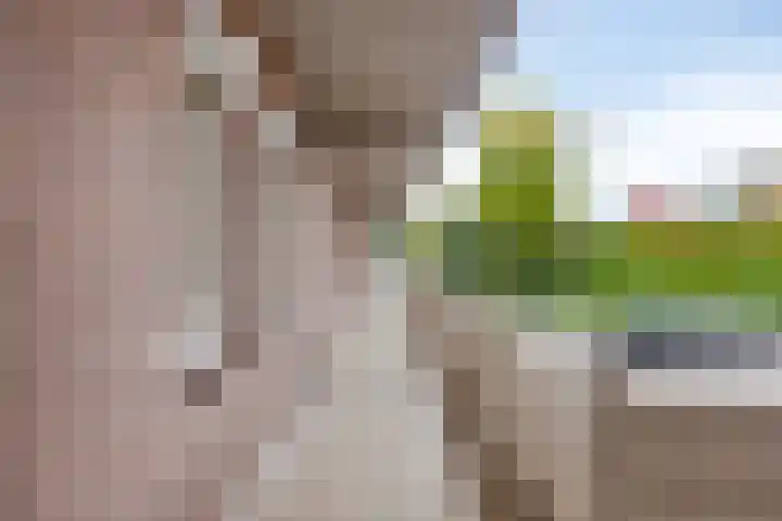 P Czn Hooftlaan 29 Eindhoven thumbnail 19