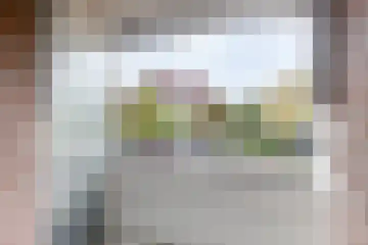 P Czn Hooftlaan 29 Eindhoven thumbnail 20