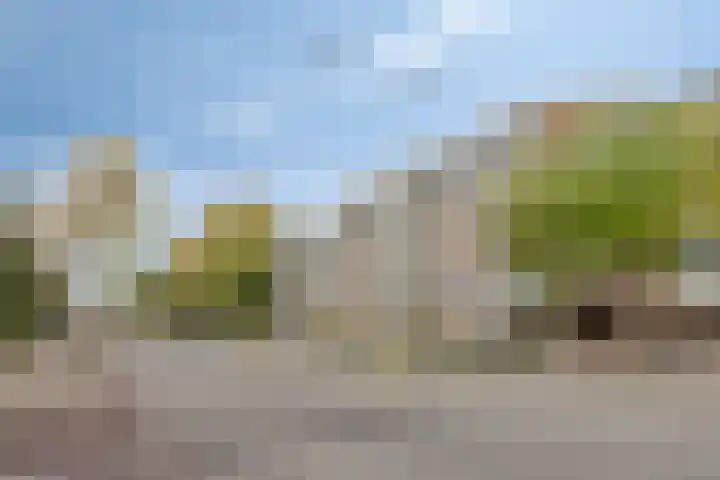 P Czn Hooftlaan 29 Eindhoven thumbnail 24