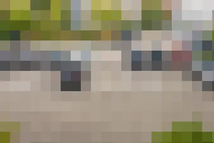 P Czn Hooftlaan 29 Eindhoven thumbnail 26