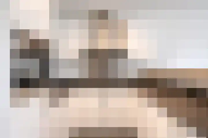 P Czn Hooftlaan 29 Eindhoven thumbnail 7