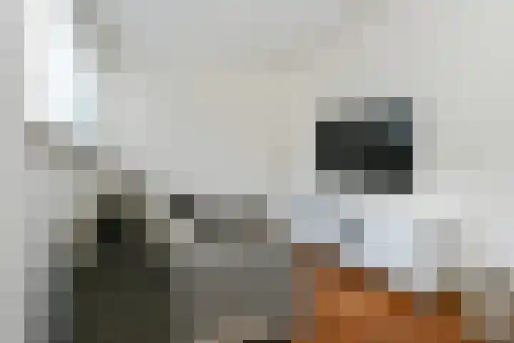 P Czn Hooftlaan 4 B Eindhoven thumbnail 10