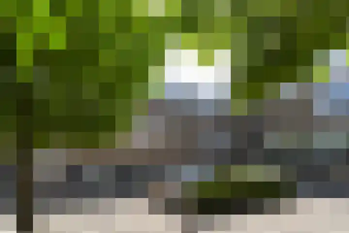 P Czn Hooftlaan 4 B Eindhoven thumbnail 21