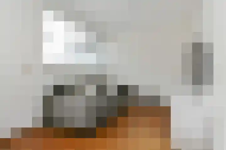 P Czn Hooftlaan 4 B Eindhoven thumbnail 9
