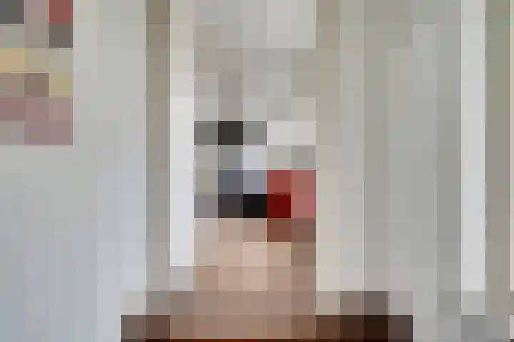 P Czn Hooftlaan 4 Eindhoven thumbnail 12