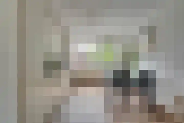 P Czn Hooftlaan 4 Eindhoven thumbnail 16