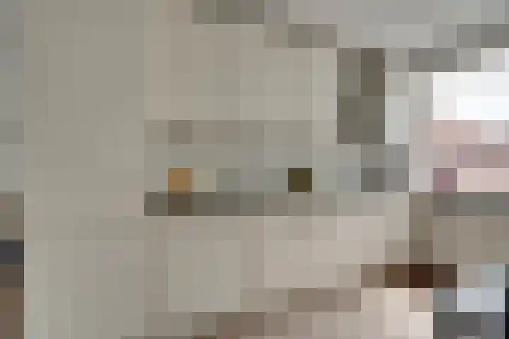 P Czn Hooftlaan 4 Eindhoven thumbnail 17