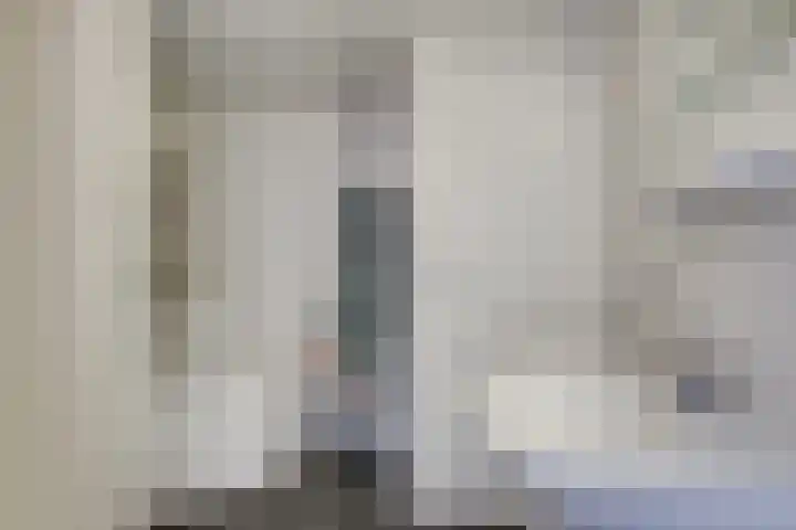 P Czn Hooftlaan 4 Eindhoven thumbnail 26