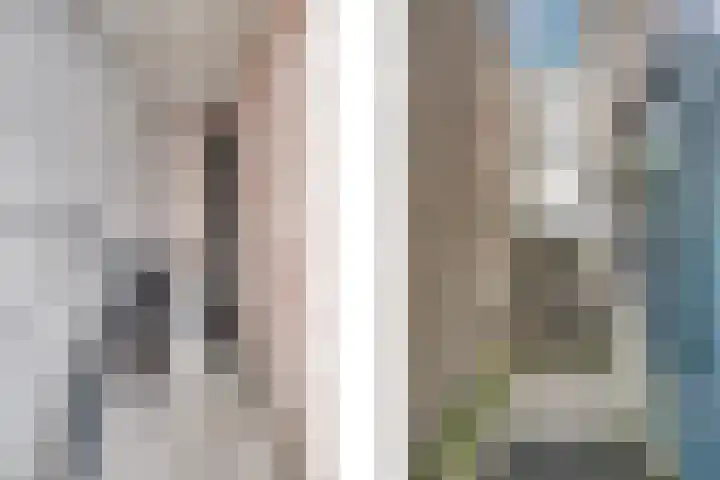 P Czn Hooftlaan 4 Eindhoven thumbnail 31