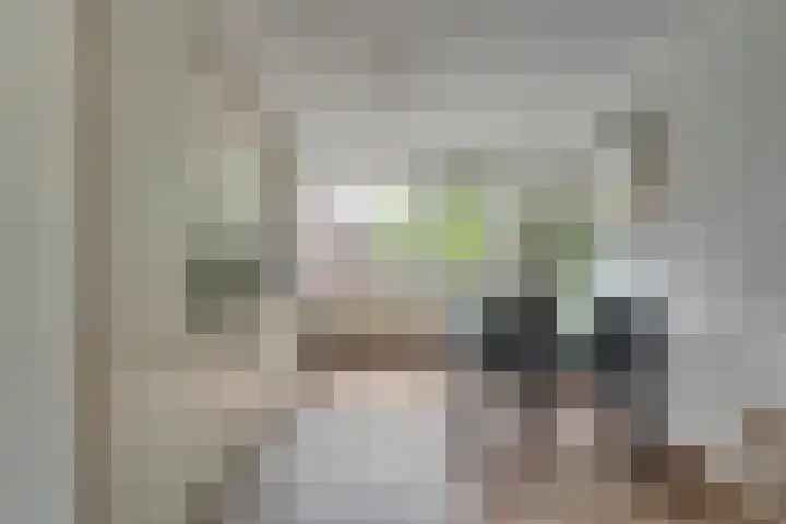 P Czn Hooftlaan 4 Eindhoven thumbnail 4