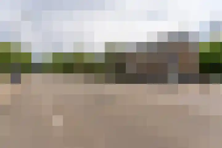 P Czn Hooftlaan 4 Eindhoven thumbnail 6
