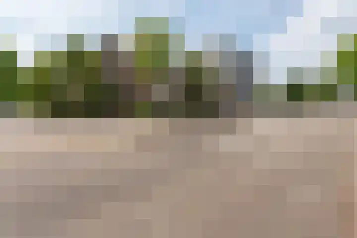 P Czn Hooftlaan 4 Eindhoven thumbnail 7
