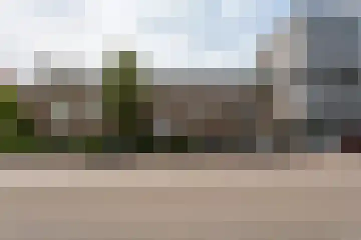 P Czn Hooftlaan 4 Eindhoven thumbnail 9