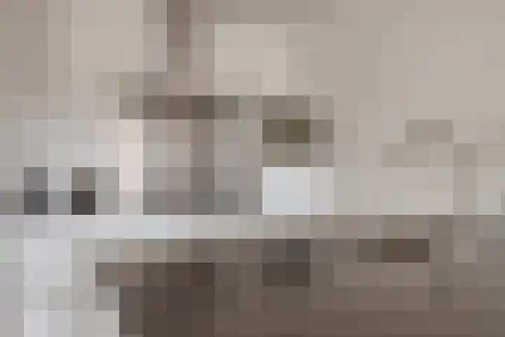 P Czn Hooftlaan 59 Eindhoven thumbnail 12