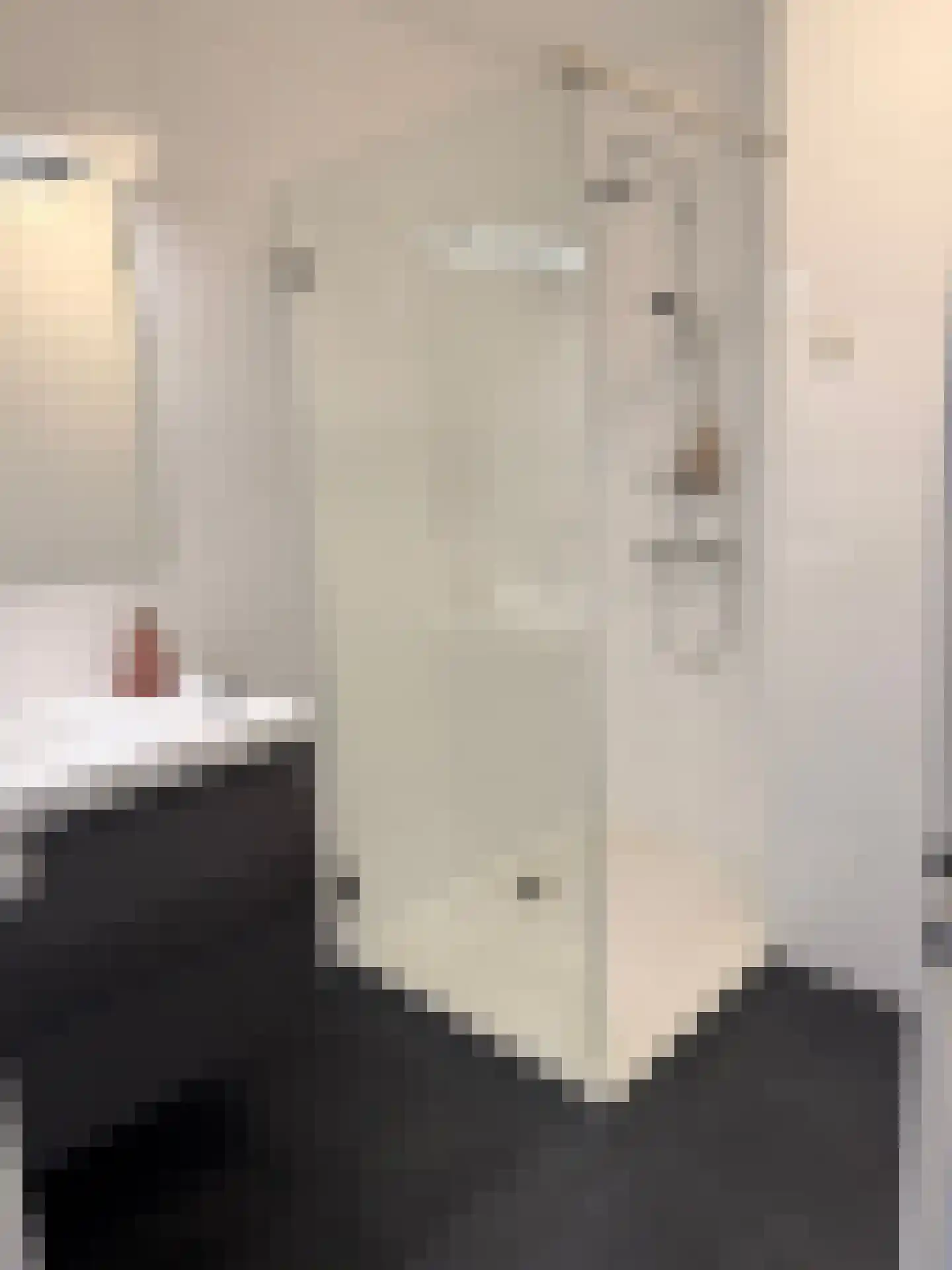 P Czn Hooftlaan 63 Eindhoven thumbnail 21