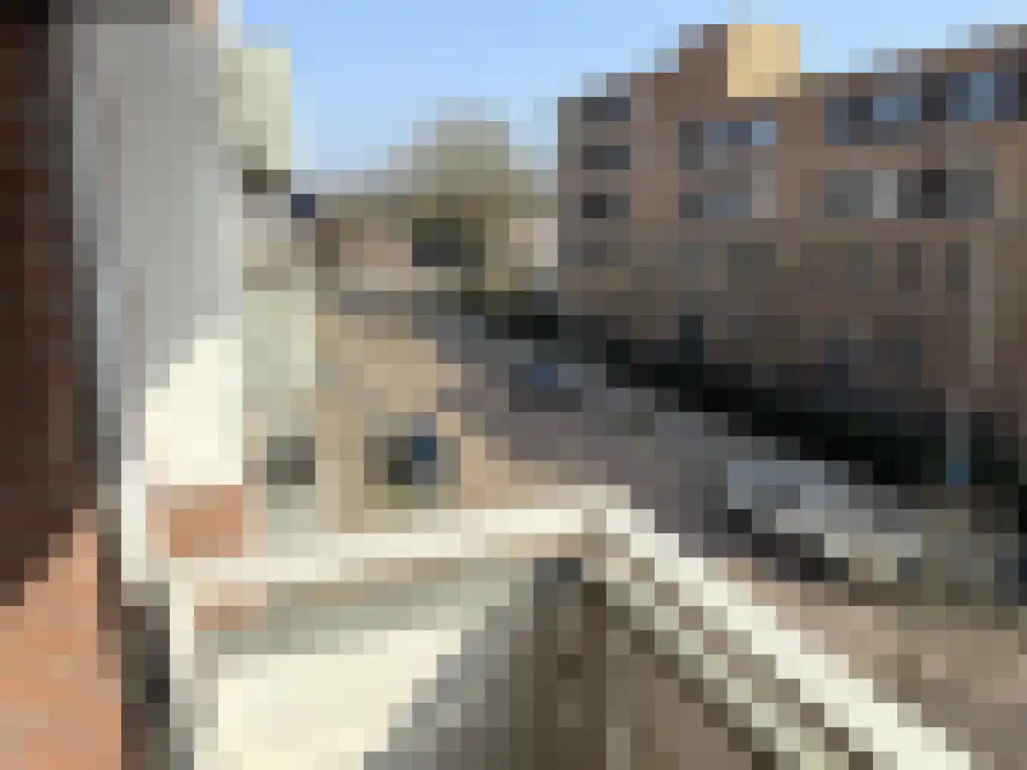 P Czn Hooftlaan 63 Eindhoven thumbnail 24