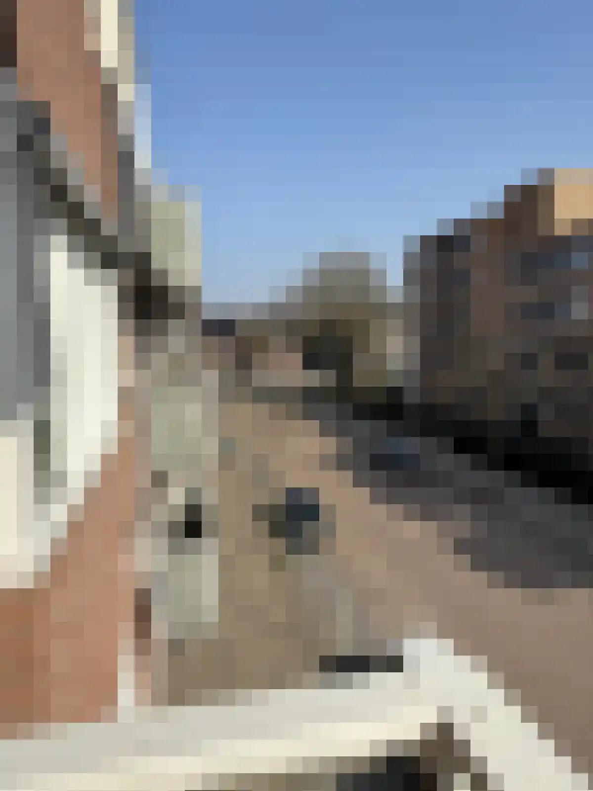 P Czn Hooftlaan 63 Eindhoven thumbnail 26