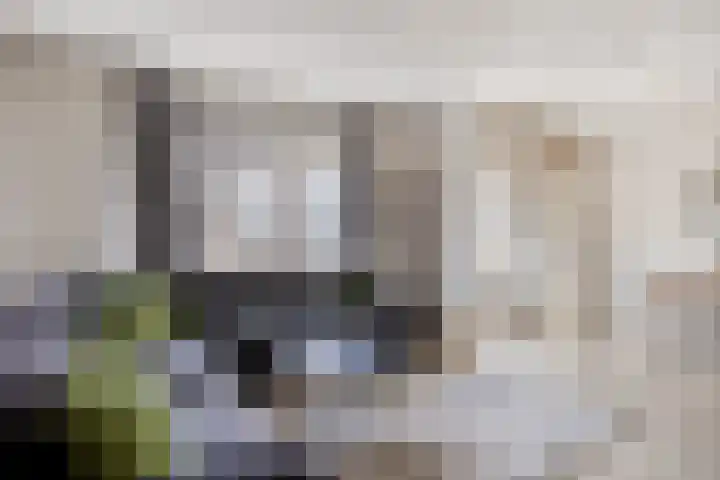 P Czn Hooftlaan 67 Eindhoven thumbnail 12