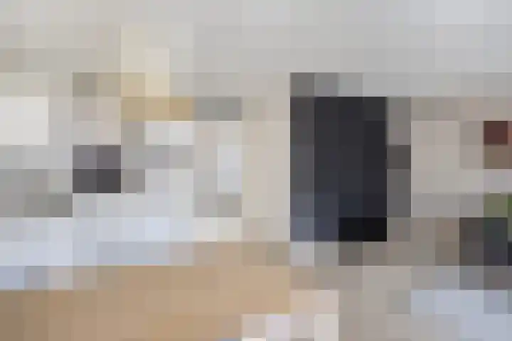 P Czn Hooftlaan 67 Eindhoven thumbnail 14