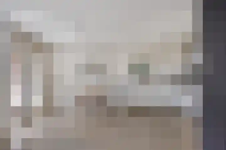 P Czn Hooftlaan 67 Eindhoven thumbnail 17