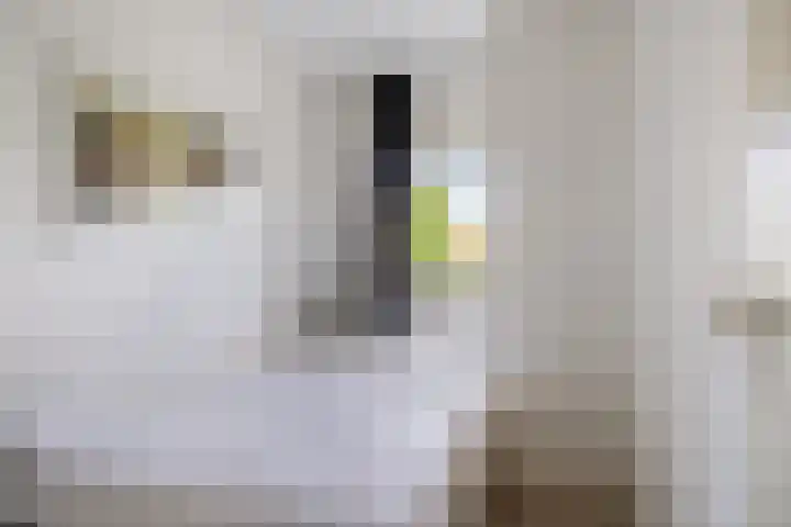 P Czn Hooftlaan 67 Eindhoven thumbnail 20