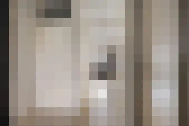 P Czn Hooftlaan 67 Eindhoven thumbnail 9