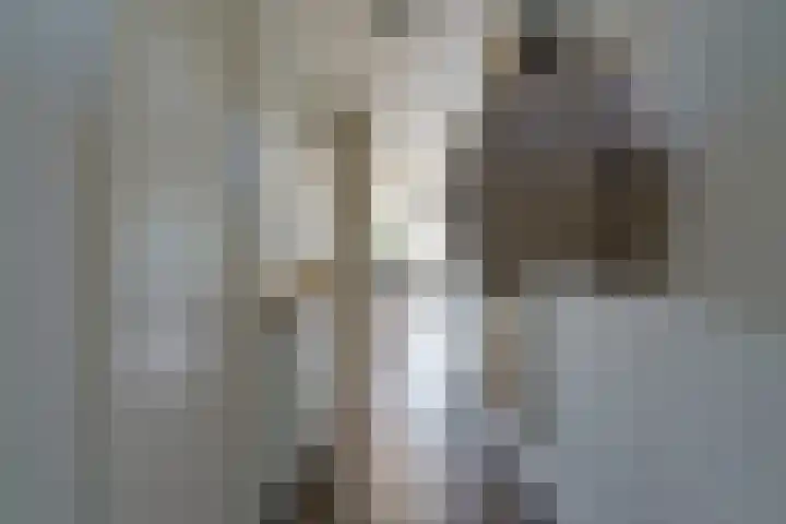 P Czn Hooftlaan 81 Eindhoven thumbnail 17