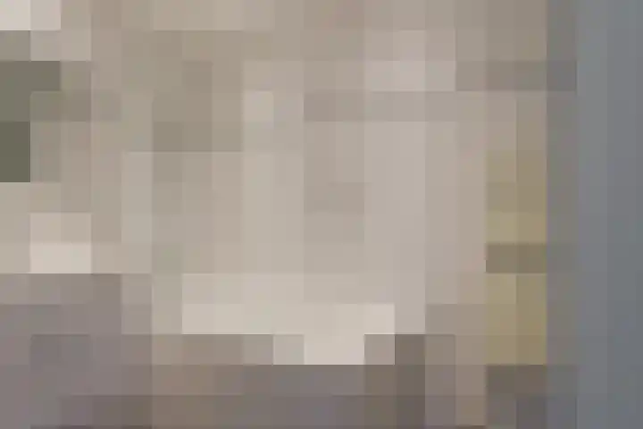 P Czn Hooftlaan 81 Eindhoven thumbnail 19