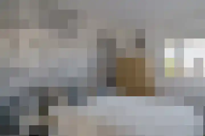 P Czn Hooftlaan 81 Eindhoven thumbnail 22