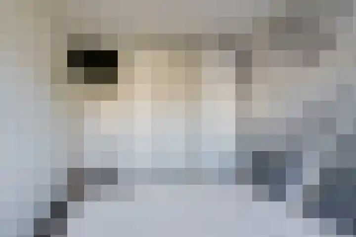 P Czn Hooftlaan 81 Eindhoven thumbnail 23