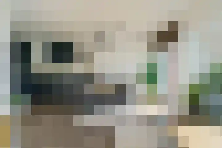 P Czn Hooftlaan 81 Eindhoven thumbnail 30