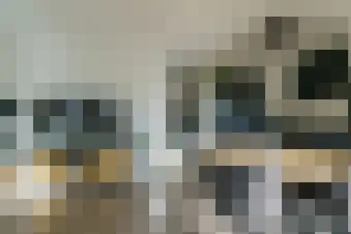 P Czn Hooftlaan 81 Eindhoven thumbnail 31