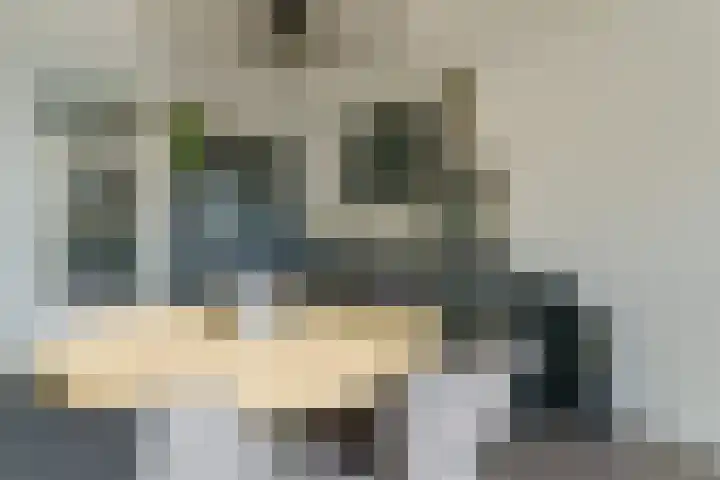 P Czn Hooftlaan 81 Eindhoven thumbnail 33