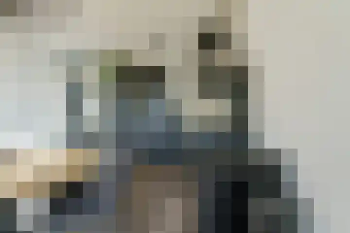 P Czn Hooftlaan 81 Eindhoven thumbnail 34