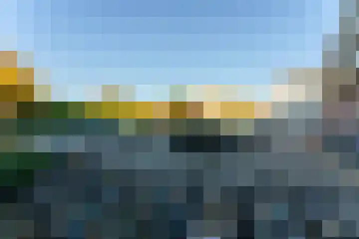 P Czn Hooftlaan 81 Eindhoven thumbnail 39