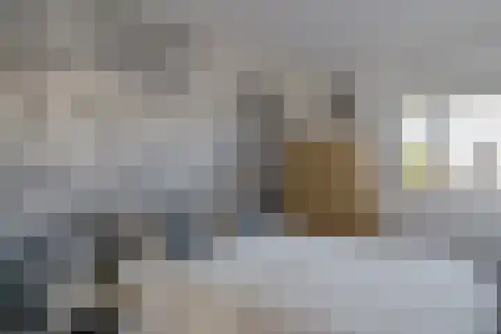 P Czn Hooftlaan 81 Eindhoven thumbnail 4