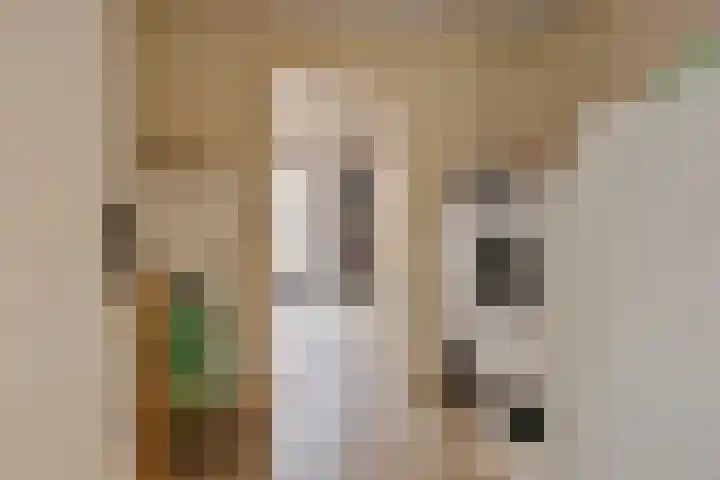 P. de Hooghstraat 7 Hardenberg thumbnail 12