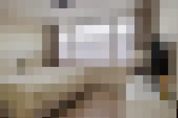 P. de Hooghstraat 7 Hardenberg thumbnail 17