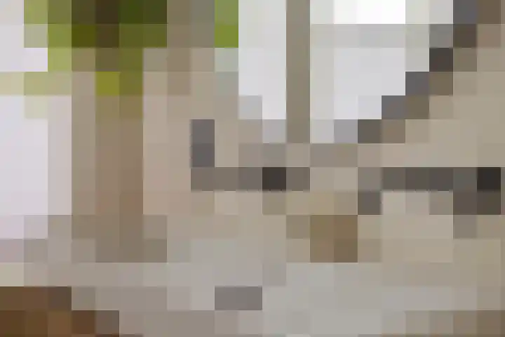 P. de Hooghstraat 7 Hardenberg thumbnail 22