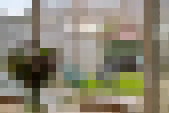 P. de Hooghstraat 7 Hardenberg thumbnail 25