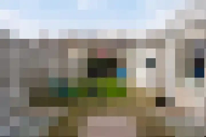 P. de Hooghstraat 7 Hardenberg thumbnail 27